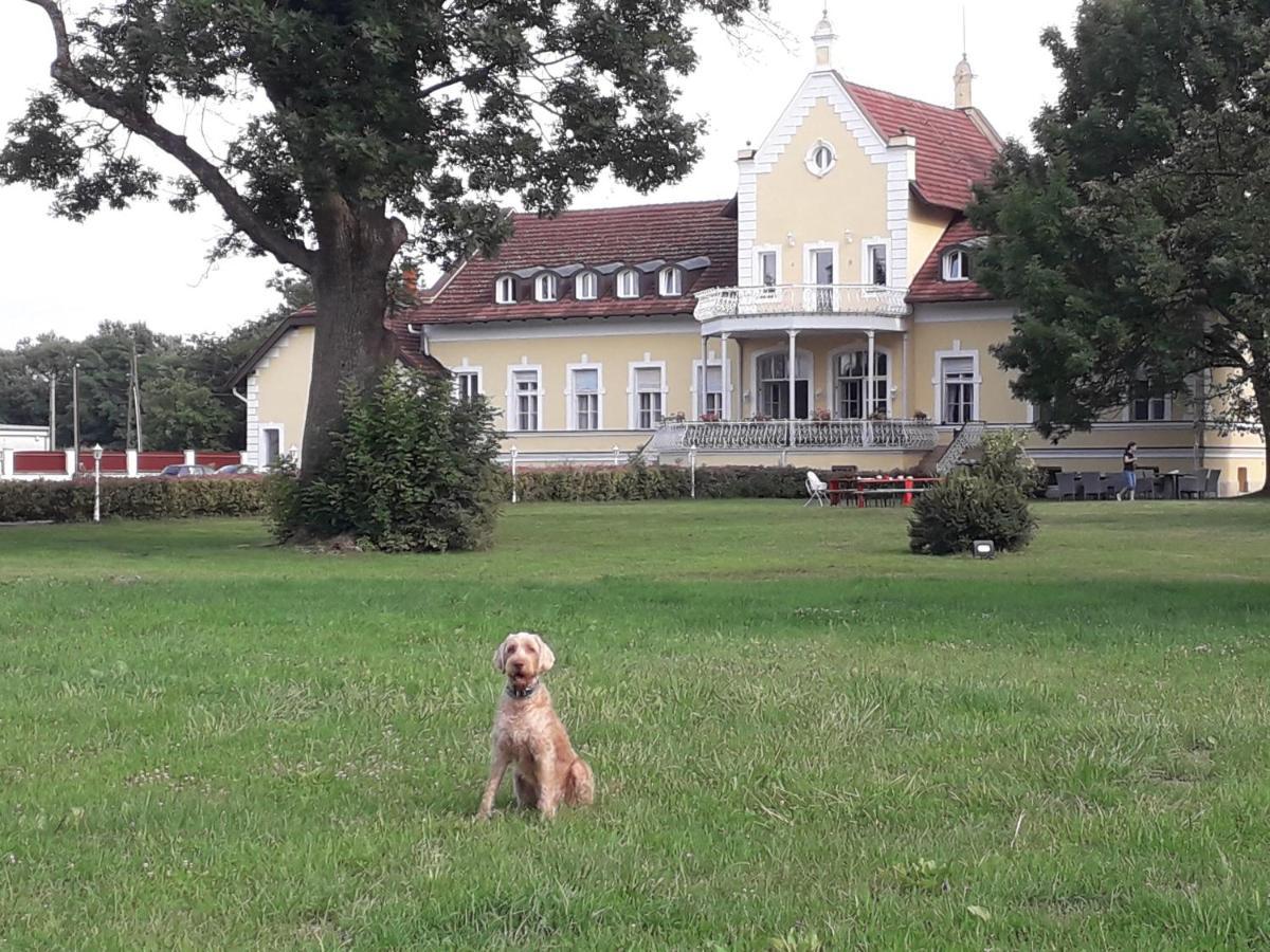 Rosenberg Kuria Bed & Breakfast Taplanszentkereszt Exterior photo
